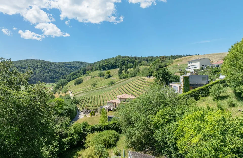 Terreno edificabile esclusivo con vista panoramica a Thayngen – Grund Genug