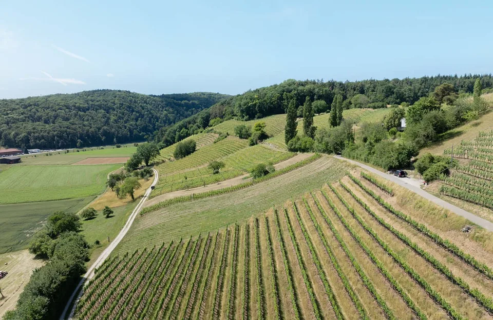 Terreno edificabile esclusivo con vista panoramica a Thayngen – Grund Genug