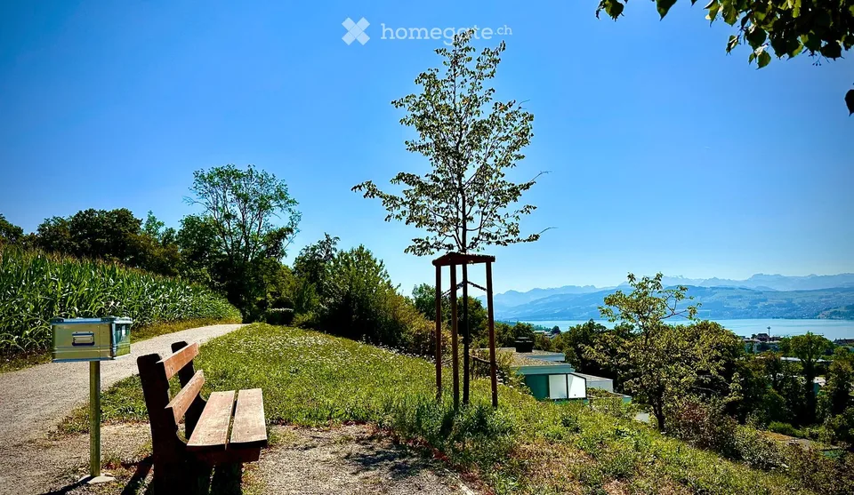 Casa terrazzata da sogno con panorama lacustre spettacolare e privacy completa a Meilen
