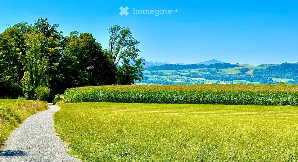 Casa terrazzata da sogno con panorama lacustre spettacolare e privacy completa a Meilen