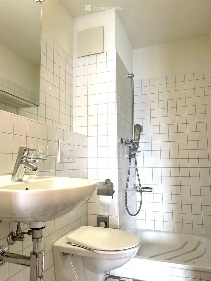 Beautiful, bright, quiet and newly renovated 4.5-room apartment with large balcony by arrangement