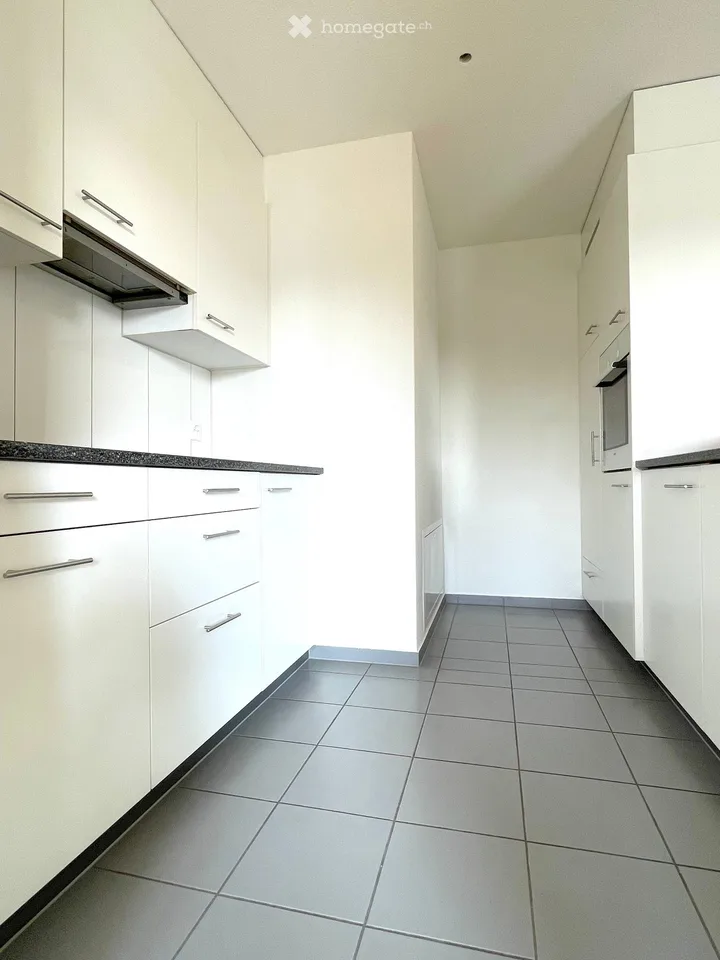 Beautiful, bright, quiet and newly renovated 4.5-room apartment with large balcony by arrangement