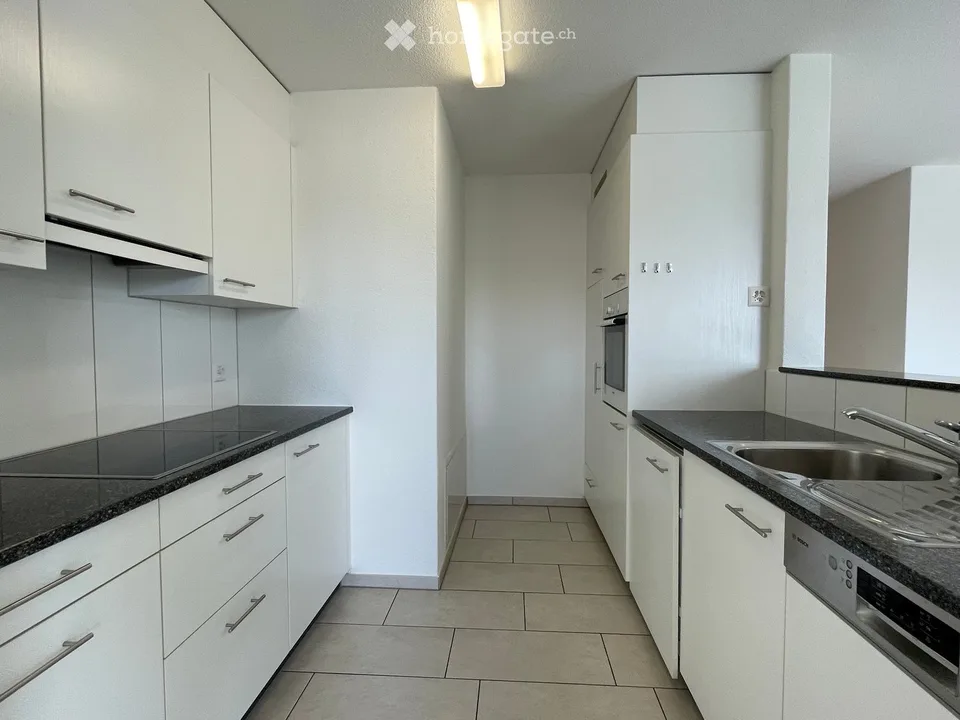 Beautiful, bright, quiet and newly renovated 4.5-room apartment with large balcony by arrangement