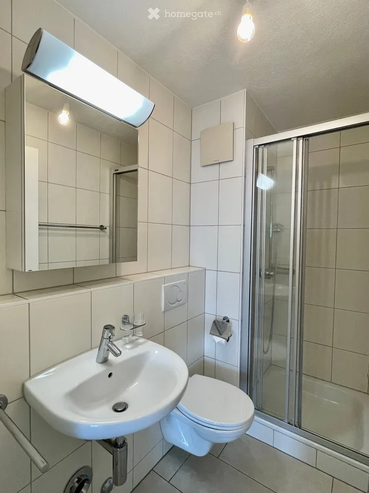Beautiful, bright, quiet and newly renovated 4.5-room apartment with large balcony by arrangement