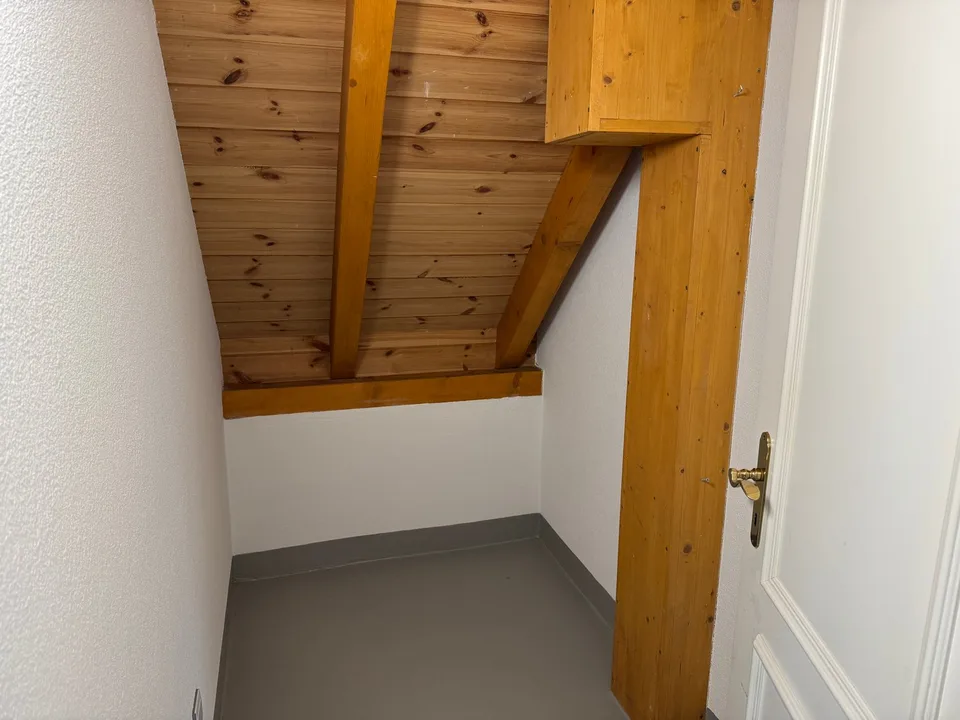 Exclusive 4.5-room attic apartment with sunny terrace and winter garden