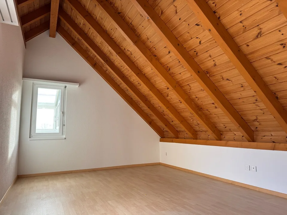 Exclusive 4.5-room attic apartment with sunny terrace and winter garden