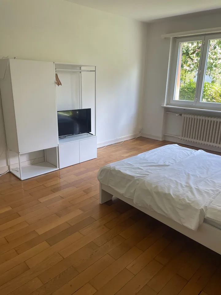 Charming 1.5-Room Apartment with Modern Amenities in Zürich