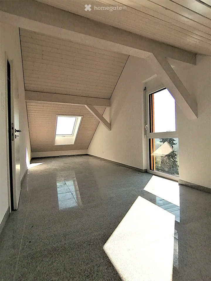 Magnifique Villa eines Architekten, nahe Lausanne