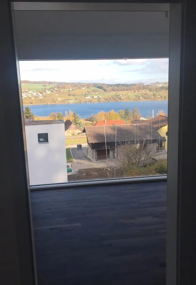 5.5-room single-family house with lake view and roof terrace in Boniswil for sale
