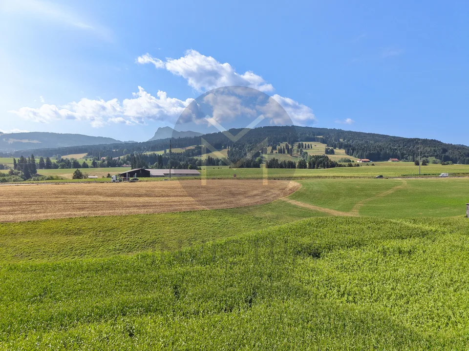 Ground floor - www.loreedumoleson.ch - 4.5 105 m2