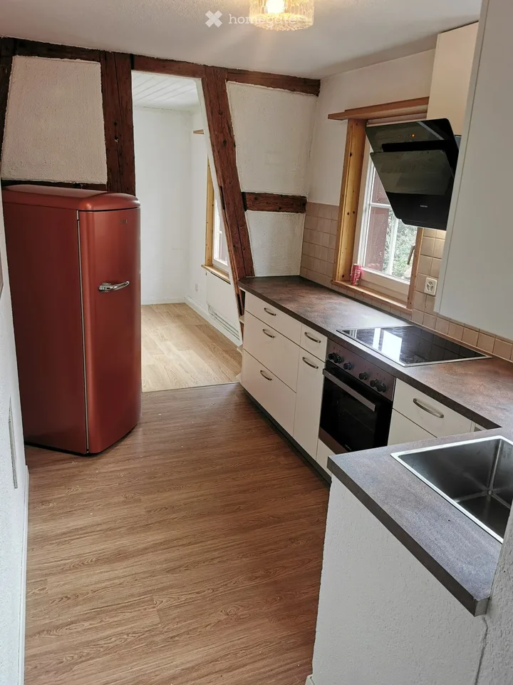 Aussergewöhnliche, renovierte 2 1/2 Zimmer Wohnung