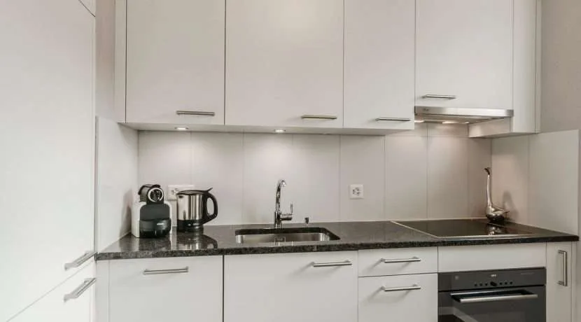 Appartement 2 pièces au cœur de Zürich-Oerlikon