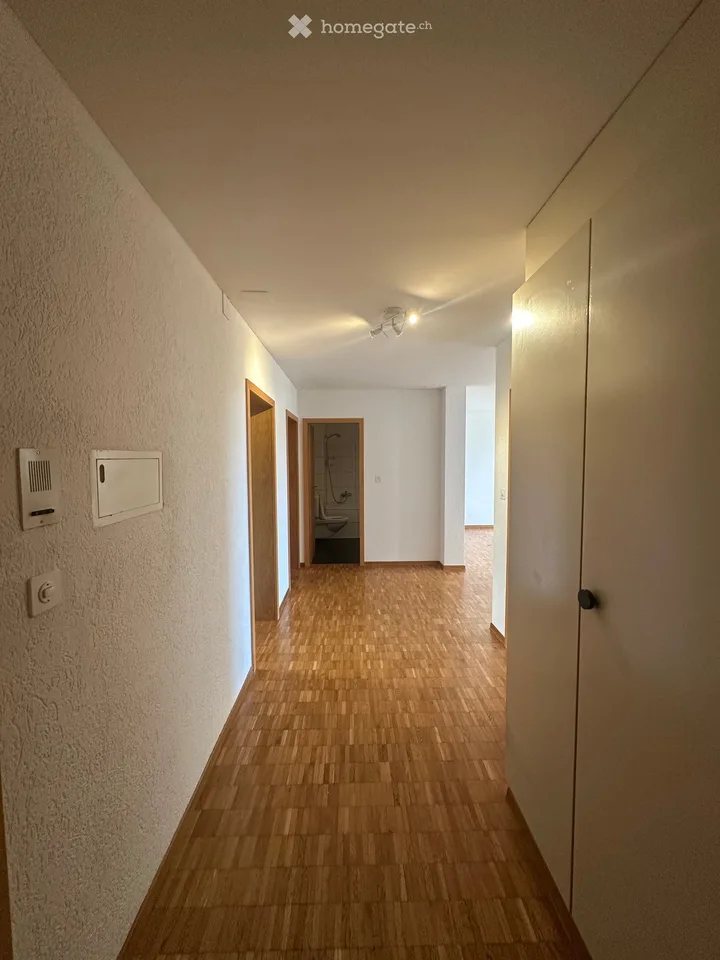 Appartement 3.5 pièces avec vue à Riethüsli St Gallen