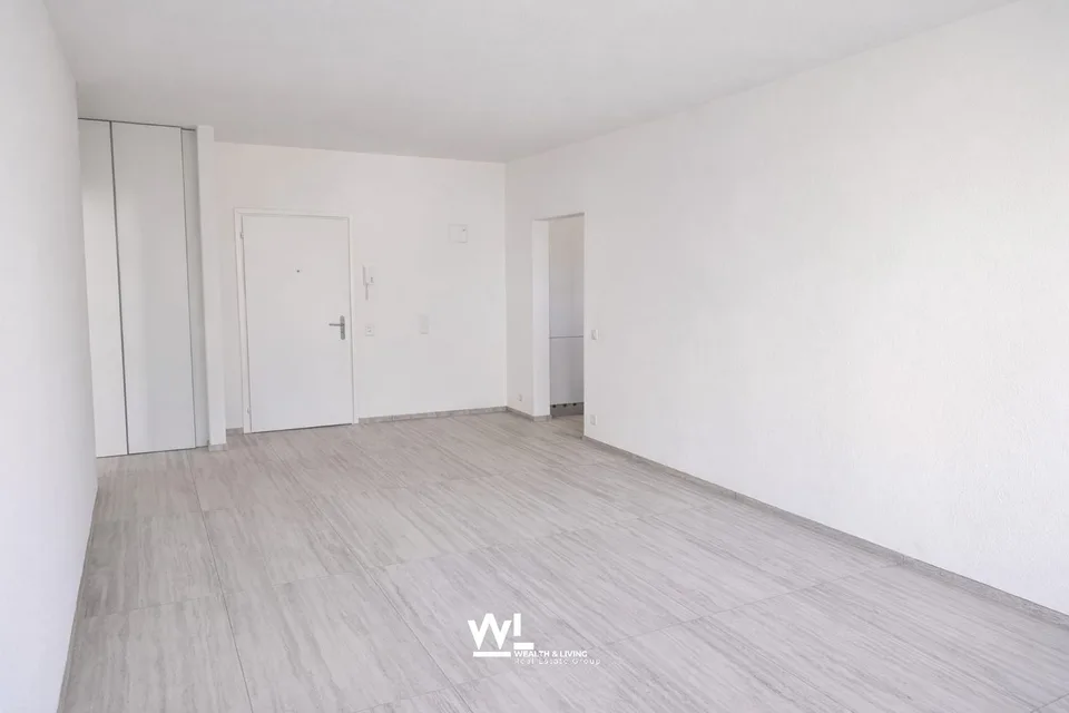 2.5-room apartment, freshly renovated, central in Losone