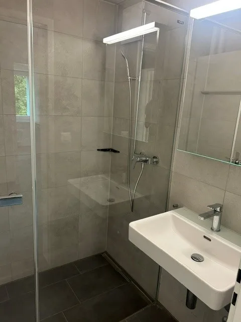 First rental of a bright 3-room apartment with balcony and beautiful view in Opfikon
