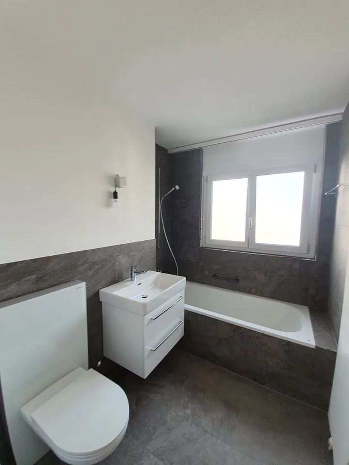 Renovierte Wohnung in Seenähe