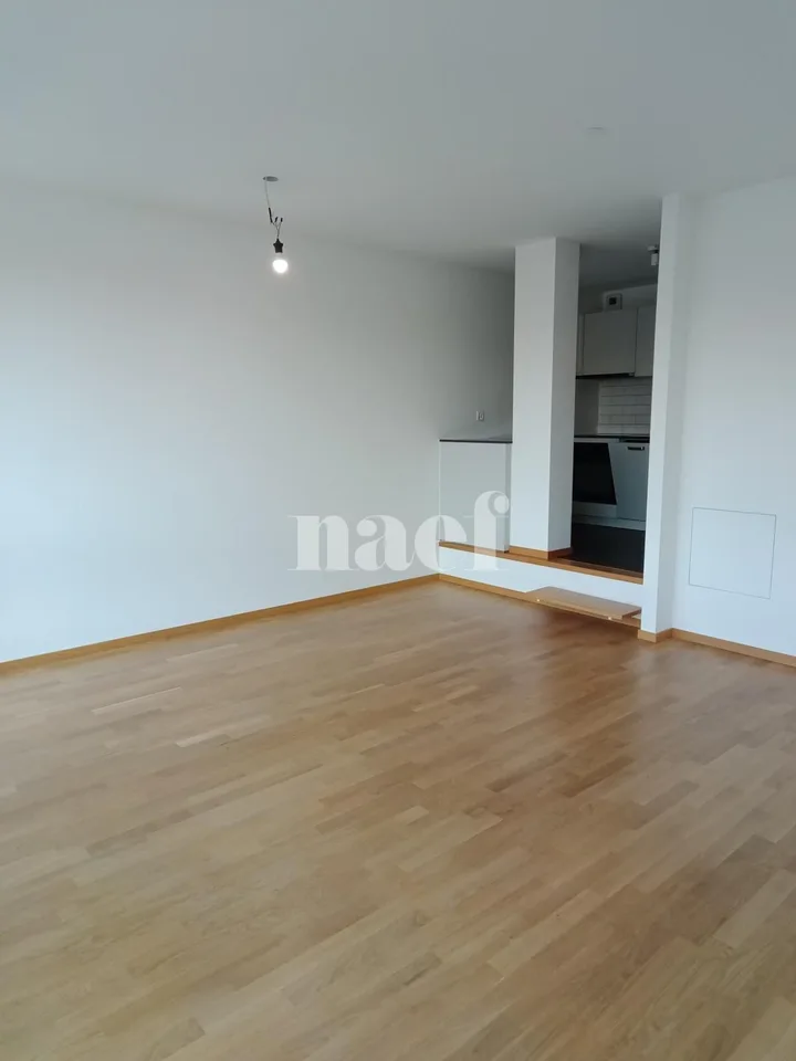 Duplex de 3 pièces près de la gare de Genève