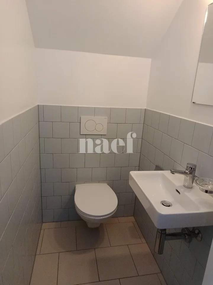 Duplex de 3 pièces près de la gare de Genève