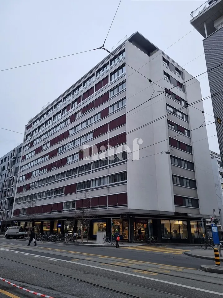 Duplex de 3 pièces près de la gare de Genève