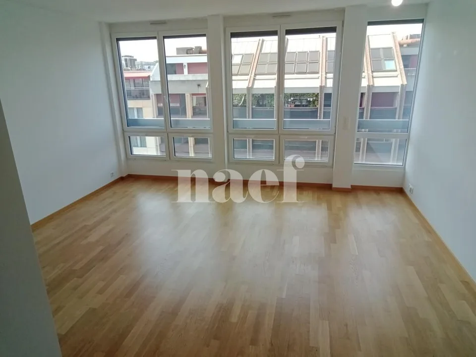 Duplex de 3 pièces près de la gare de Genève