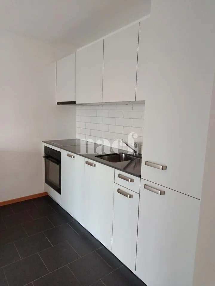 Duplex de 3 pièces près de la gare de Genève