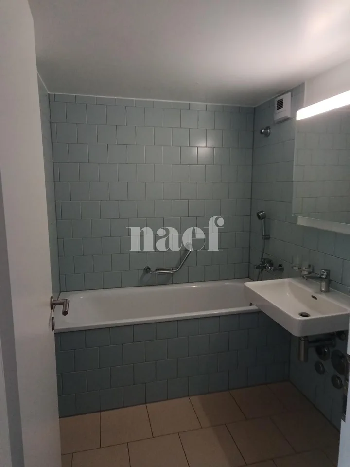 Duplex de 3 pièces près de la gare de Genève