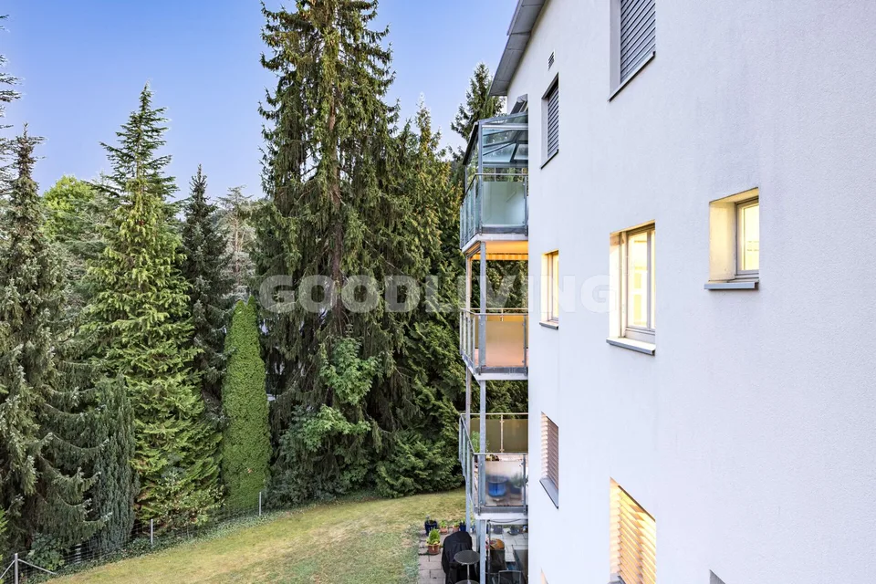 Arrivée à Horgen