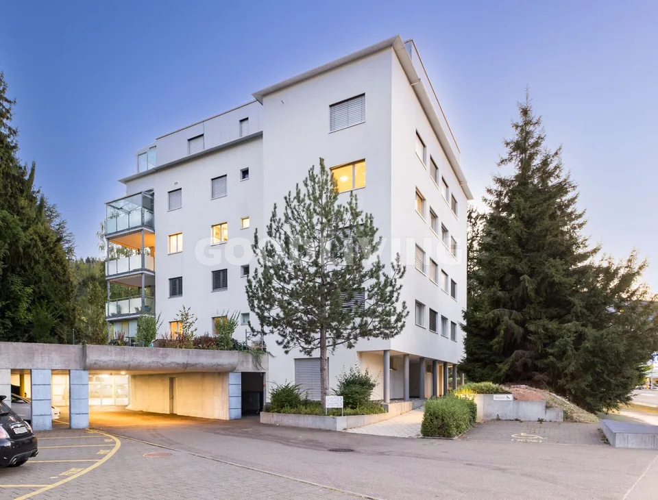 Arrivée à Horgen