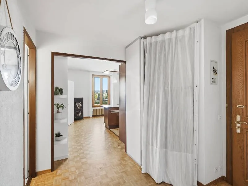 Appartement agréable - Chêne-Bourg