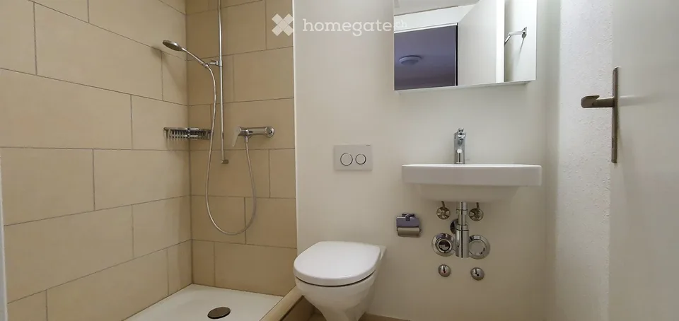 Appartement mansardé ensoleillé et lumineux de 4 pièces et demi à Aarau