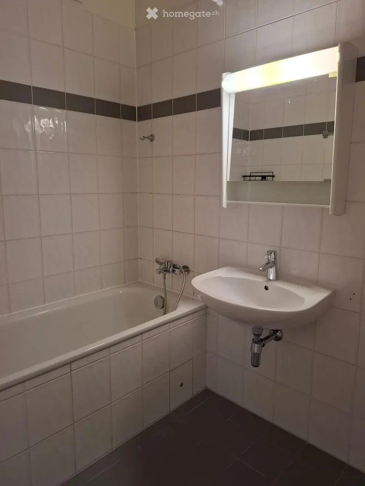 Beautiful apartment for rent - Plan-les-Ouates - Av. Millénaire