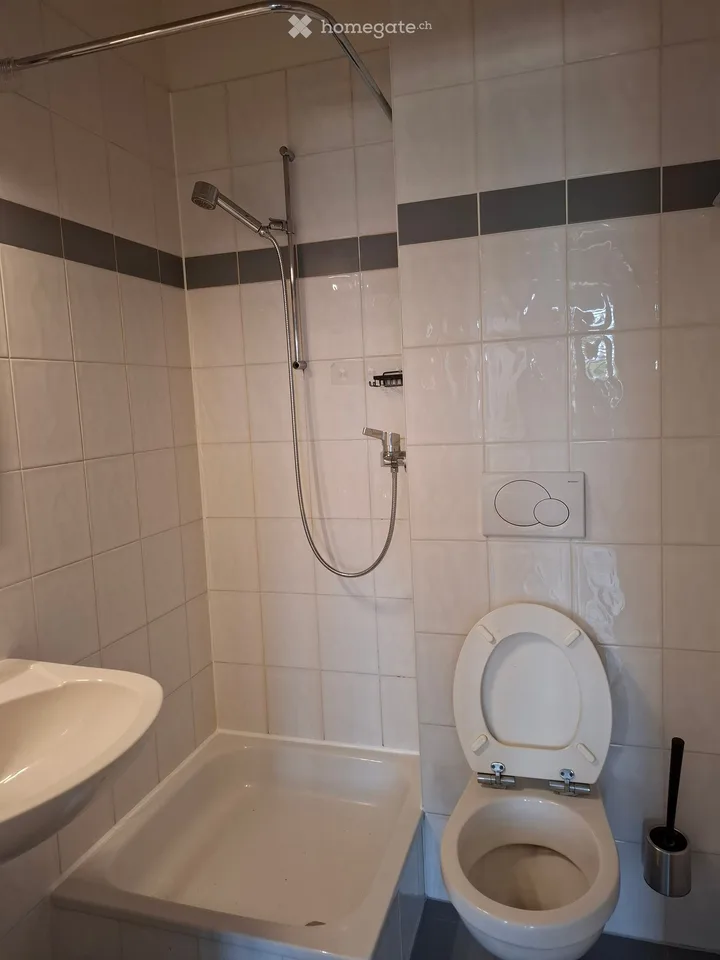 Beautiful apartment for rent - Plan-les-Ouates - Av. Millénaire