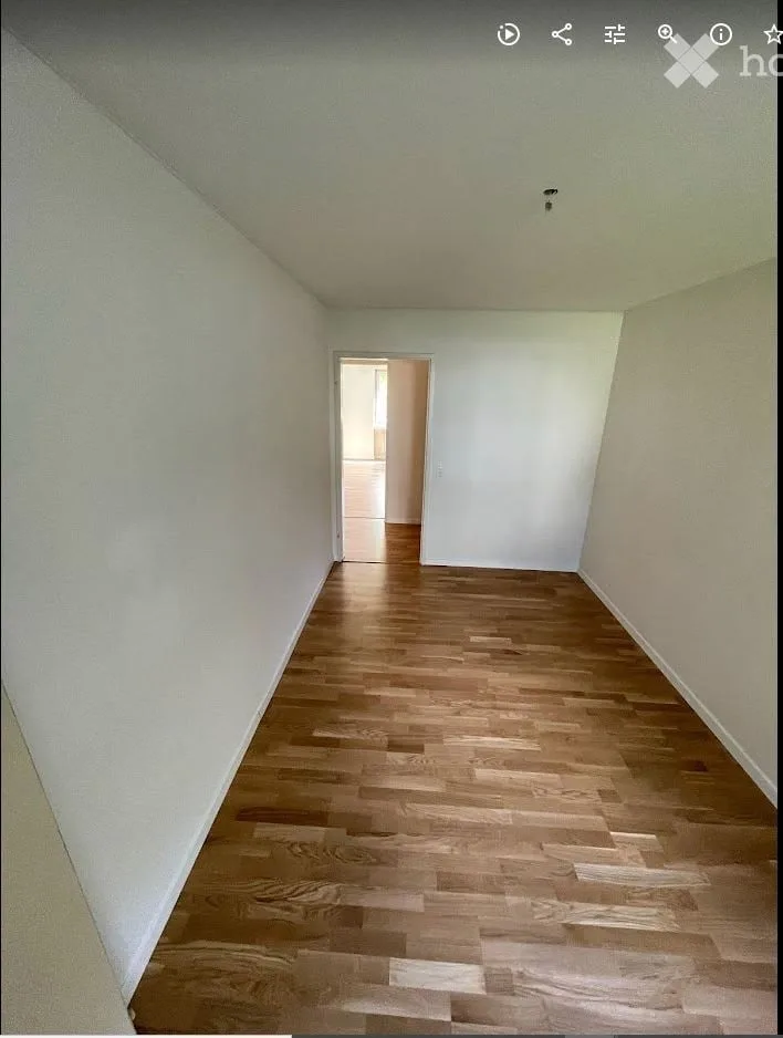Ampio appartamento al piano terra situato nel centro di Zurigo con accesso diretto agli spazi verdi