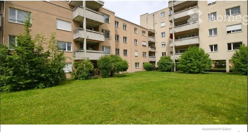 Ampio appartamento al piano terra situato nel centro di Zurigo con accesso diretto agli spazi verdi