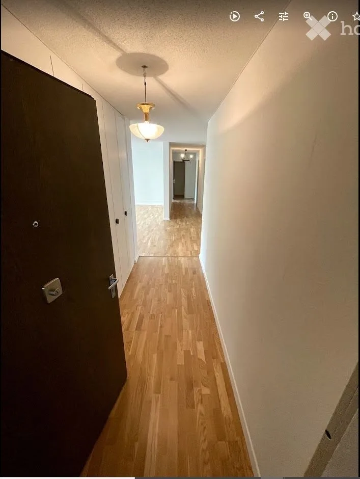 Ampio appartamento al piano terra situato nel centro di Zurigo con accesso diretto agli spazi verdi