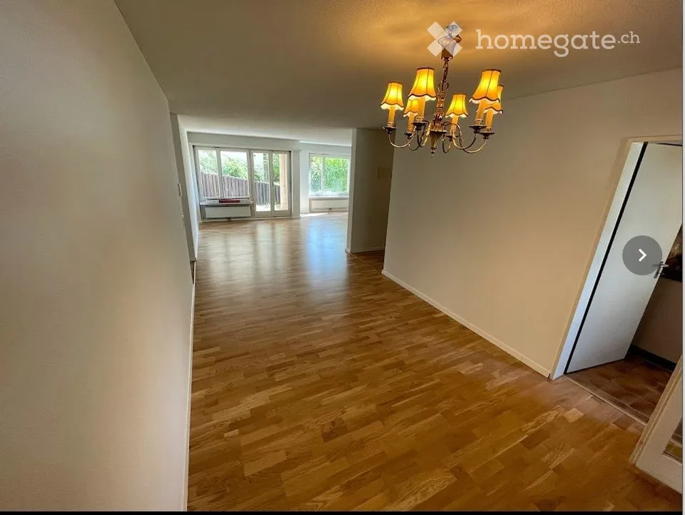 Ampio appartamento al piano terra situato nel centro di Zurigo con accesso diretto agli spazi verdi