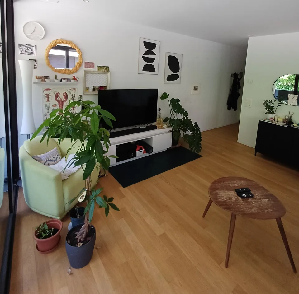 Appartement lumineux de 2 pièces avec balcon à Minusio