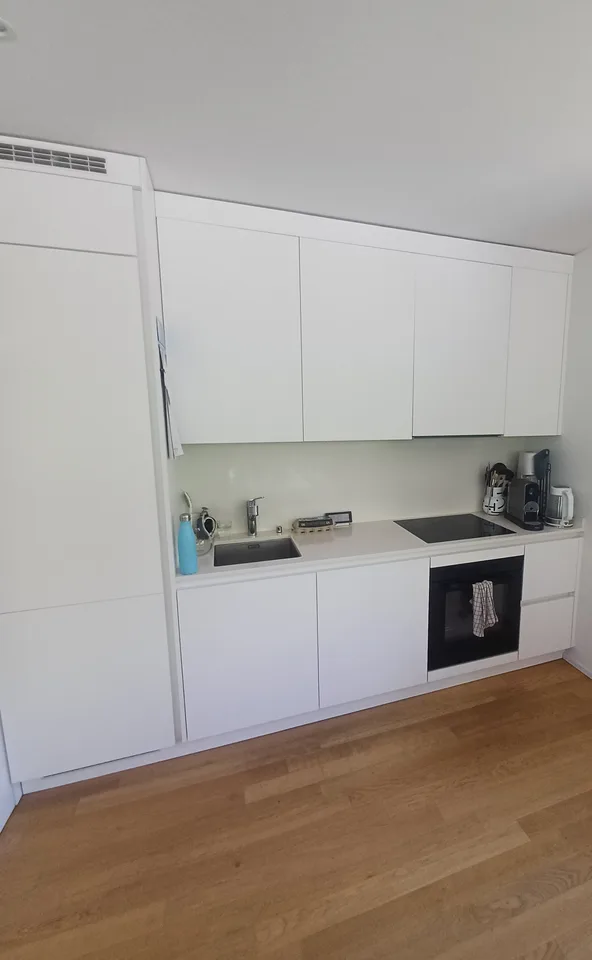 Appartement lumineux de 2 pièces avec balcon à Minusio