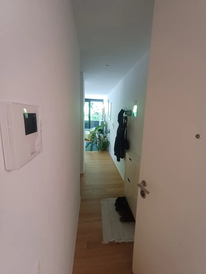 Appartement lumineux de 2 pièces avec balcon à Minusio