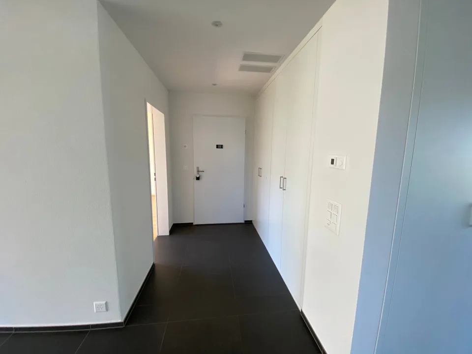 Vivere secondo gli standard di proprietà - appartamento 4.5 locali moderno a Ettenhausen