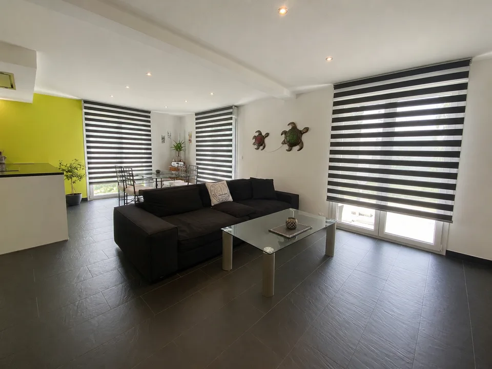 Maison individuelle récente à Leymen - 5 pièces, jardin, terrasse et sous-sol complet