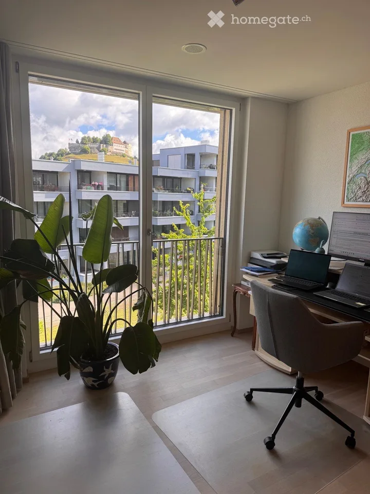 Appartamento Minergie bello, luminoso e moderno a Lenzburg