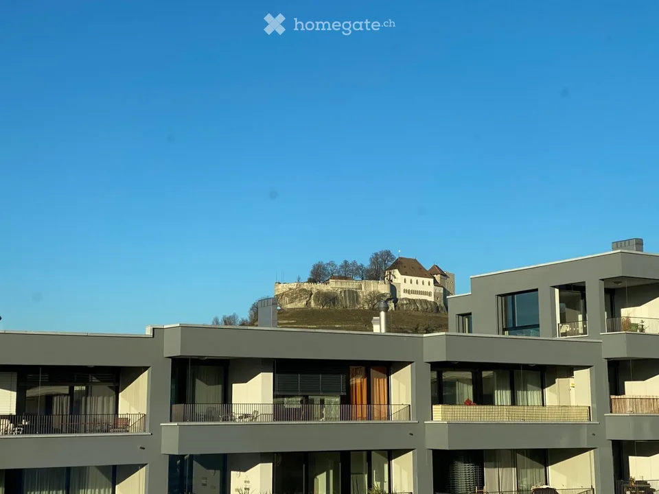 Appartamento Minergie bello, luminoso e moderno a Lenzburg