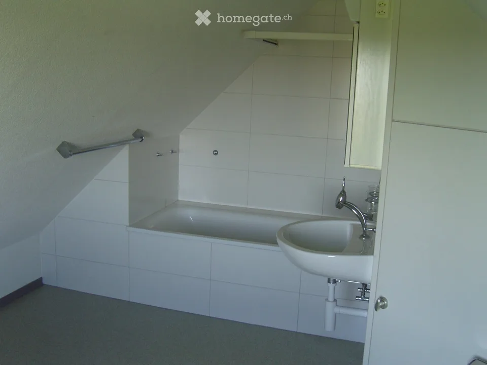 3-room old building apartment with a view in Schönenberg ZH