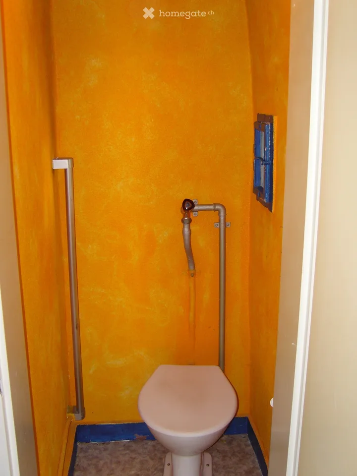 3-room old building apartment with a view in Schönenberg ZH