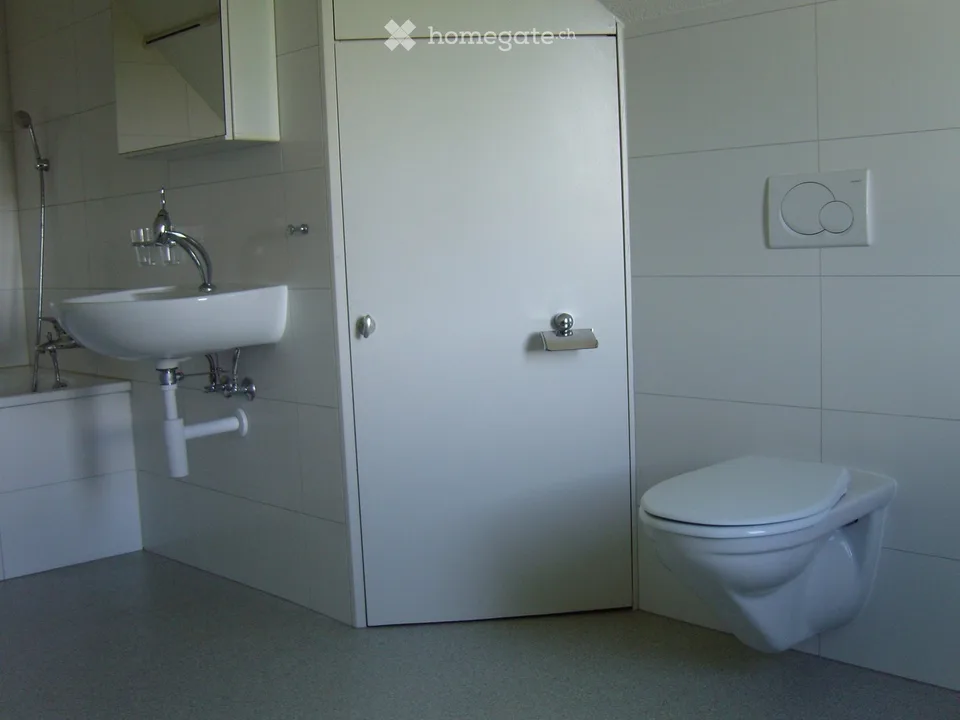 3-room old building apartment with a view in Schönenberg ZH