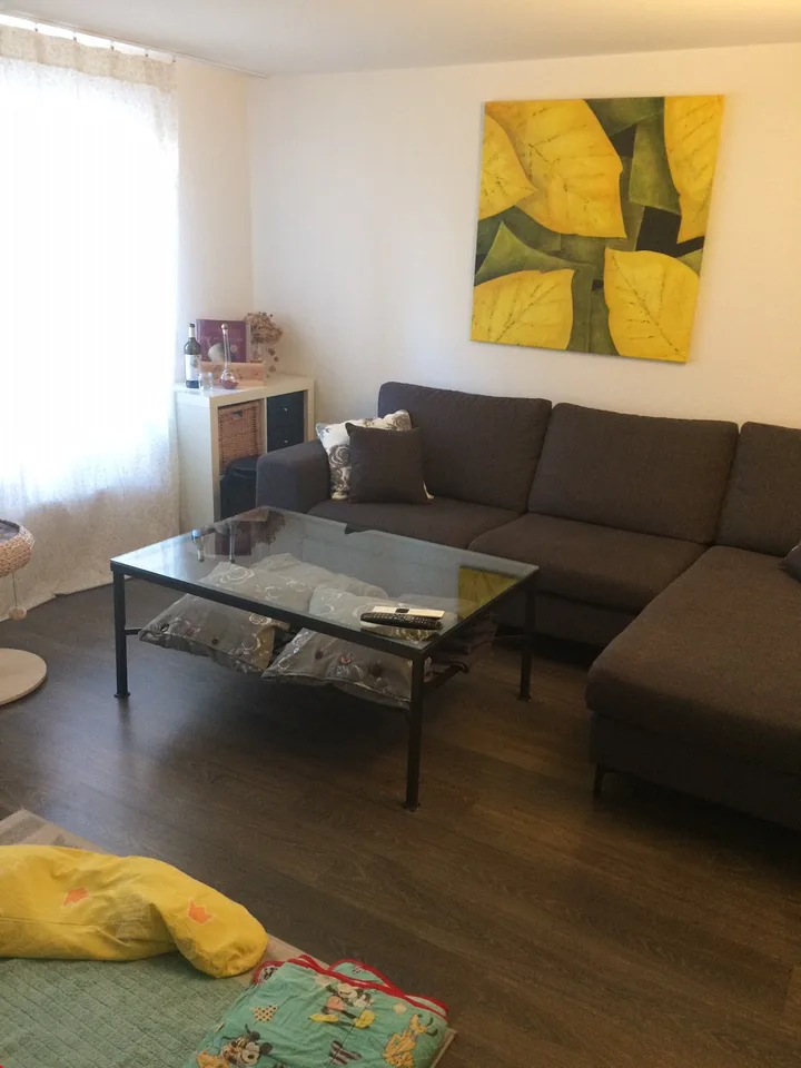 Charmant appartement 3.5 pièces au coeur de Burgdorf