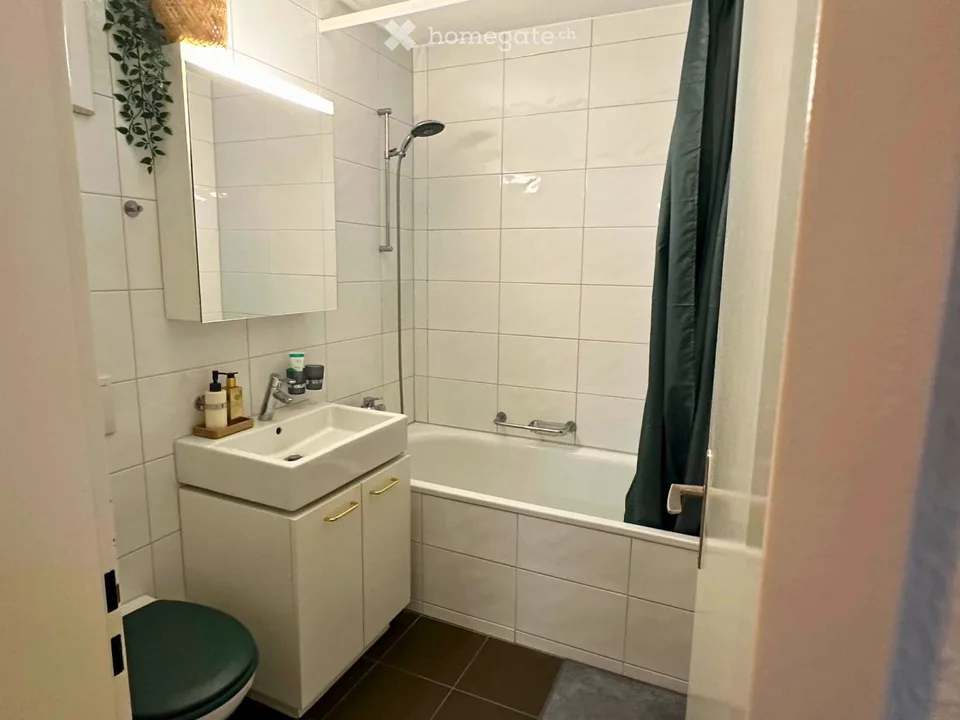 Charming 2.5-room apartment with balcony, in central location