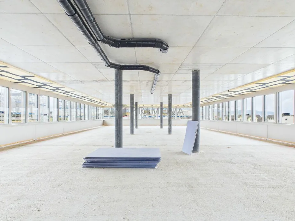 Zentrumsentwicklung Diepoldsau: Raum für Ihre Visionen - Bezugsbereit Sommer 2026!