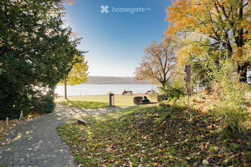 Helle 5.5-Zimmer-Wohnung mit Park und Seesicht (befristet für 6 Monate)